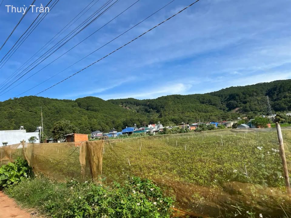 Đất thổ cư Đơn Dương 72m² giá chỉ 699 triệu - Đầu tư sinh lời ngay!