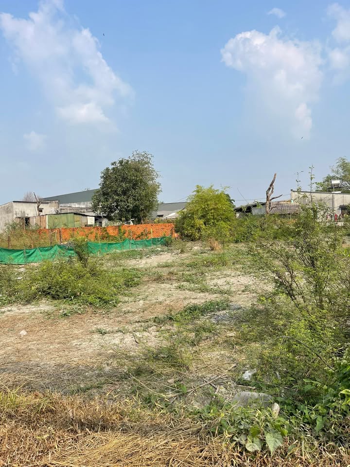 Đất thổ cư 924m² tại ấp 5, Đức Hòa Đông, chỉ 33.9 tỷ - Cơ hội đầu tư tuyệt vời!