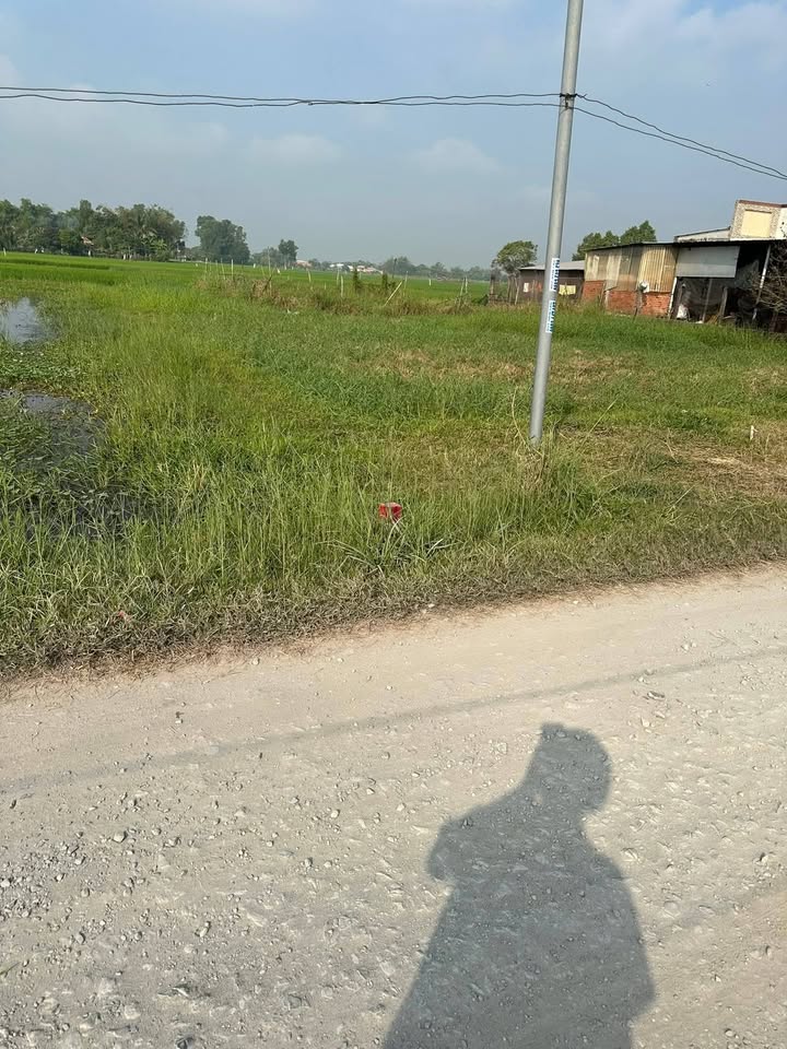 Đất nền 200m² tại Ấp Sò Đo, Hậu Nghĩa - Giá chỉ 750 triệu, sổ hồng chính chủ!