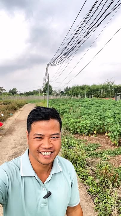 Đất nền Cẩm Đường 132m² giá 1.4 tỷ - Đầu tư sinh lời gần Sân Bay Long Thành!