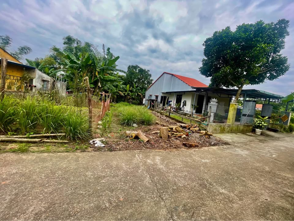 Lô Đất 115m² tại Phong Lục Tây, Điện Thắng Nam chỉ 1.5 tỷ - Sổ hồng chính chủ!