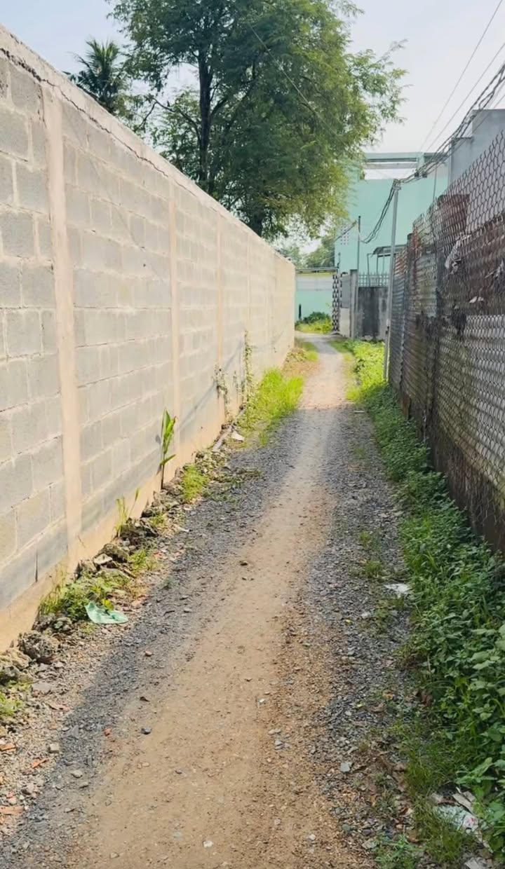 Đất Lúa 813m² Trung Tâm Thị Trấn Cần Giuộc 1.75 tỷ - Giá Thương Lượng Hấp Dẫn!