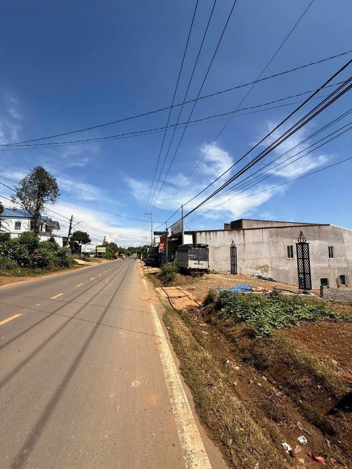 Đất nền thôn 15, QL55, Lộc Thành, 5000m² giá 15 tỷ - Đầu tư sinh lời cao!