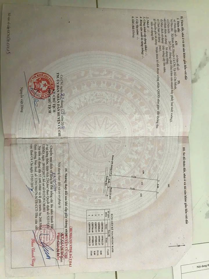 Đất thổ cư 264m² tại Bình Mỹ, Củ Chi - Giá đầu tư hấp dẫn!