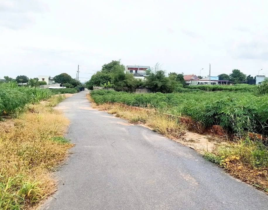 Đất mặt tiền đường Tam An, Long Điền 374,8m² giá 1.36 tỷ - Cơ hội đầu tư hấp dẫn!