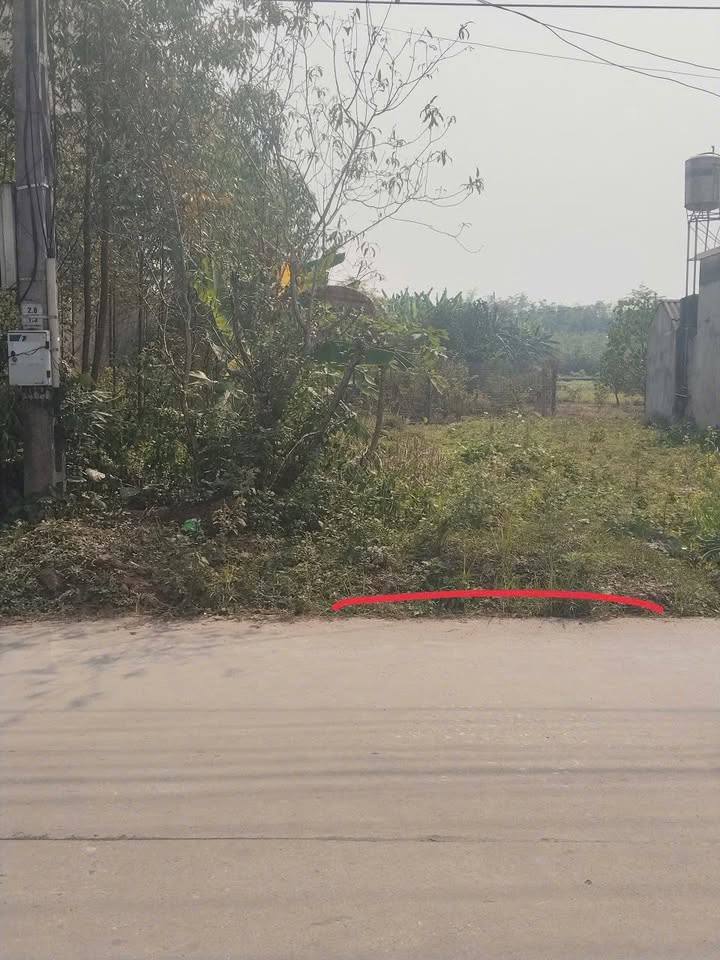 Đất nền đấu giá Nhã Nam 125m² giá 1.2 tỷ - Đầu tư sinh lời ngay!