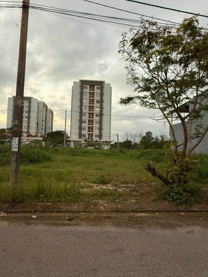 Đất Mặt Tiền Hòa Phú 11, Đà Nẵng 100m² giá 5.39 tỷ - Vị trí đắc địa gần biển!