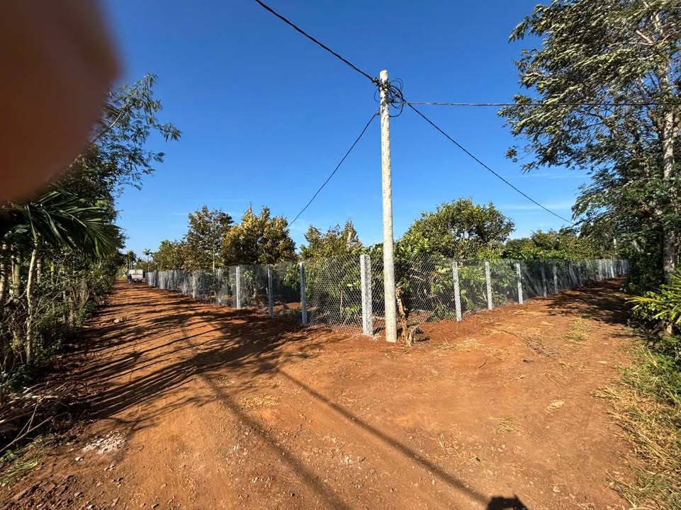 Bán đất farm 5100m² tại xã Cuor Đăng, Đắk Lắk chỉ 4.35 tỷ - Đầu tư sinh lời ngay!