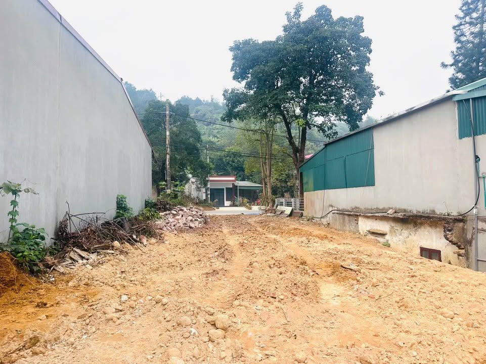 Đất mặt đường Quốc Lộ 4E, Phường Xuân Tăng, 101m² giá 1.15 tỷ - Đầu tư hấp dẫn!