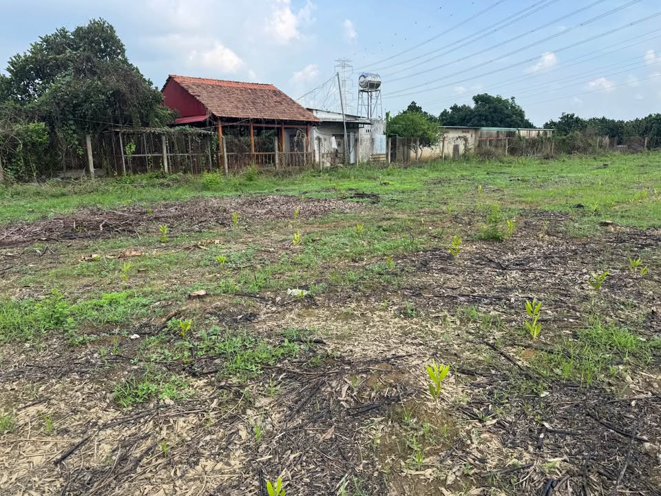 Đất nền Tân Bình 4500m² giá 12.5 tỷ - Cơ hội đầu tư sinh lời cao!