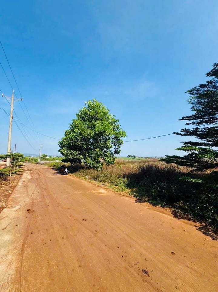 Lô đất mặt tiền bê tông tại thôn Hạ, Đức Trọng 14800m² giá 3.1 tỷ - Cơ hội đầu tư hấp dẫn!