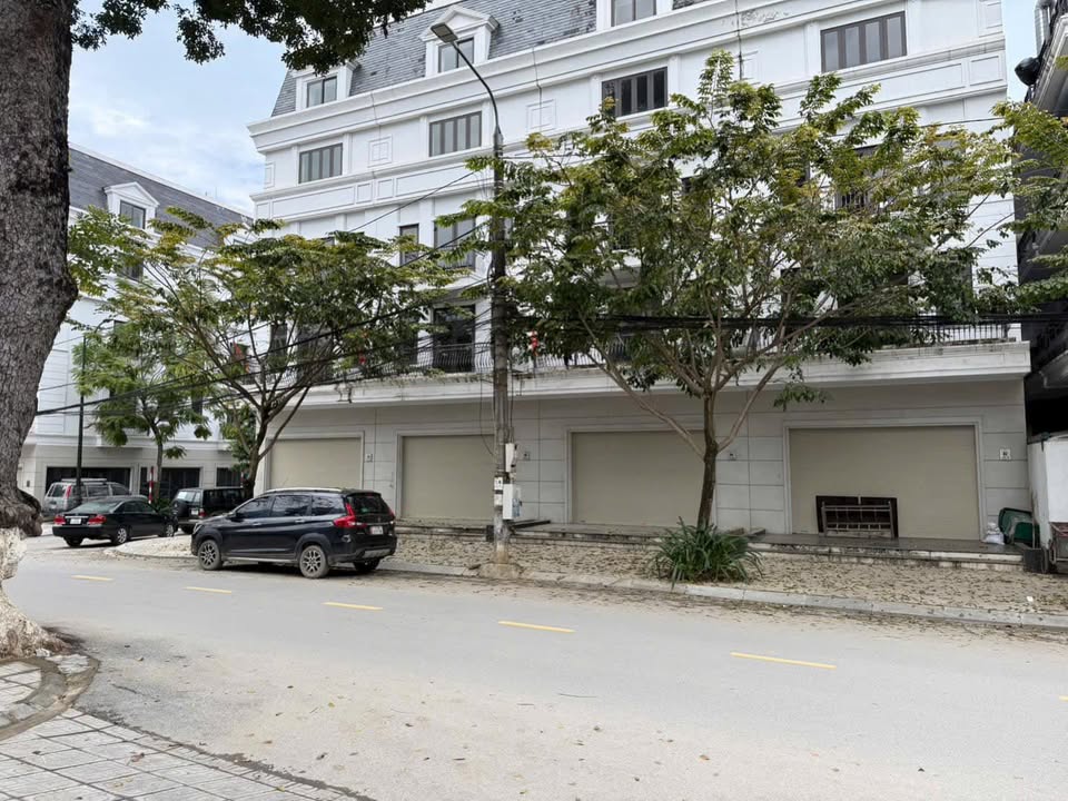 Nhà phố kinh doanh Hợp Giang 84m² giá thỏa thuận - Vị trí vàng hiếm có!