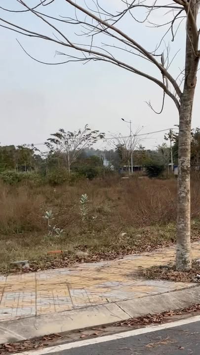 Đất An Nhơn Tây, Củ Chi 300m² giá 2.8 tỷ - Đầu tư sinh lời ngay!