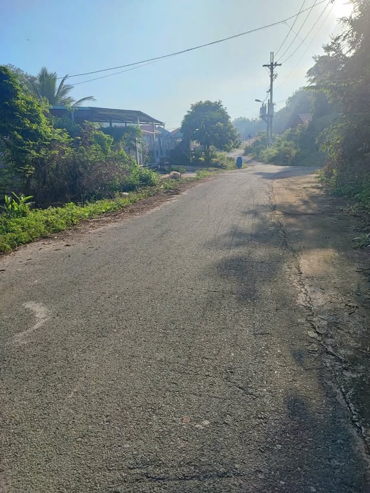 Đất mặt tiền đường nhựa Xã Thái Mỹ 150m² giá 900 triệu - Cơ hội đầu tư hấp dẫn!