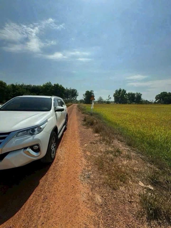 Đất nông nghiệp 1184m² tại Trung Lập Thượng, Củ Chi - Đầu tư dài hạn sinh lời!