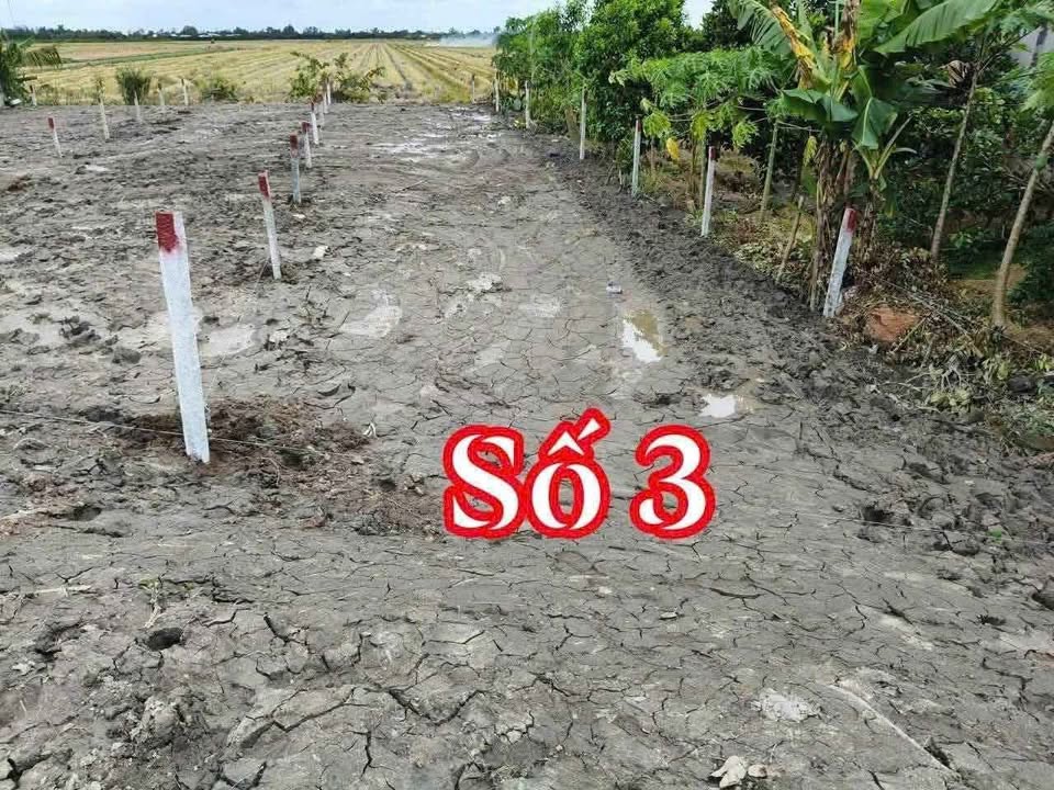 Đất nền xã Mỹ Thuận, huyện Bình Tân, 179.2m² giá 399 triệu - Đầu tư sinh lời ngay!