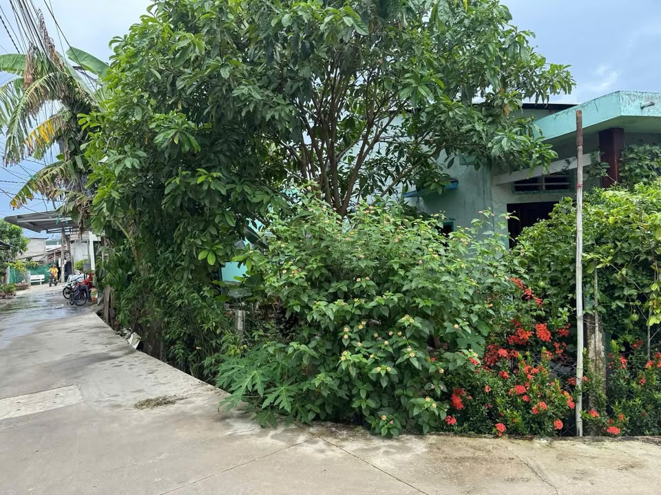 Đất nền 2 mặt tiền Thị trấn Cái Bè 47.93m² giá chỉ 350 triệu - Đầu tư sinh lời ngay!