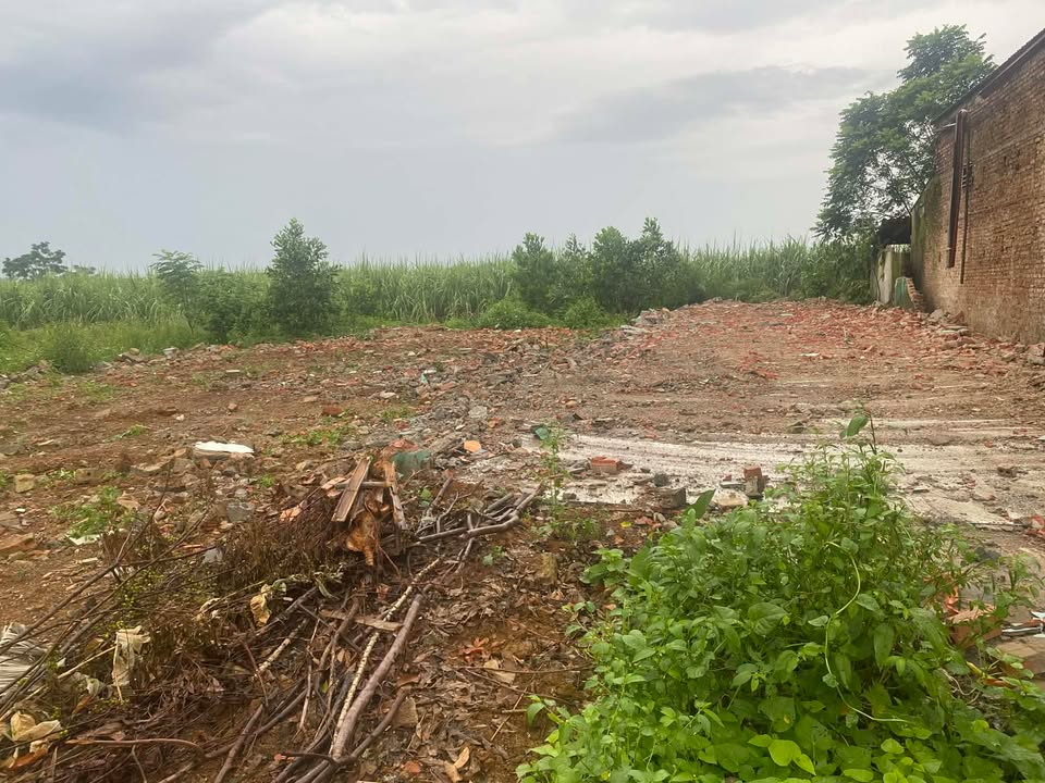 Đất Xã Sao Vàng 169m² giá thỏa thuận - Kinh doanh sầm uất trên Quốc lộ 47!