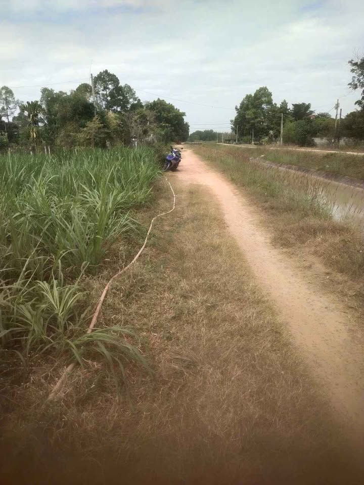 Đất nền khu dân cư mặt tiền đường Kênh Đông, Củ Chi 2000m² giá 3 tỷ - Cơ hội đầu tư hấp dẫn!