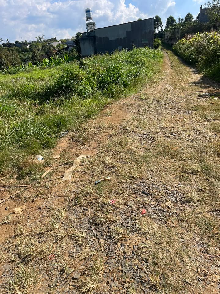 Đất nền Hòa Ninh 6000m² giá 8 tỷ - Chính chủ bán gấp với mặt tiền rộng!