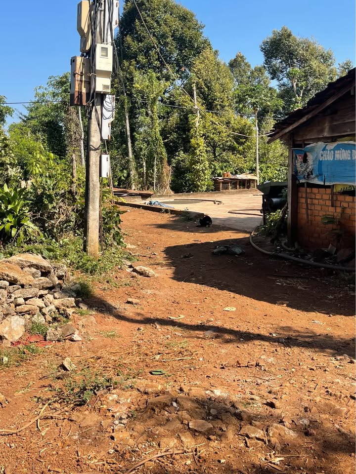 Đất nền 1.5 sào Xuân Sơn Bắc, Đồng Xuân - Giá chỉ 850 triệu - Đầu tư lý tưởng!