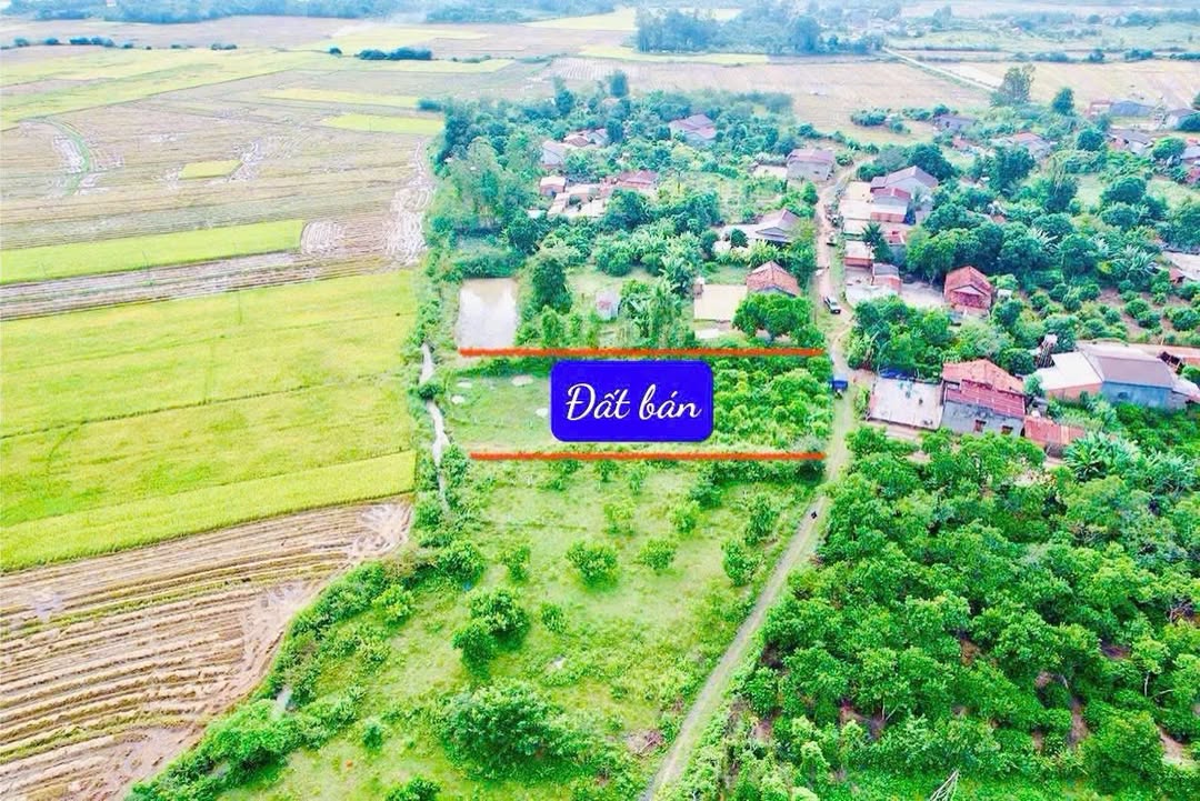 Lô đất Cư Ê Wi 881m² giá 500 triệu - View cánh đồng thoáng mát!