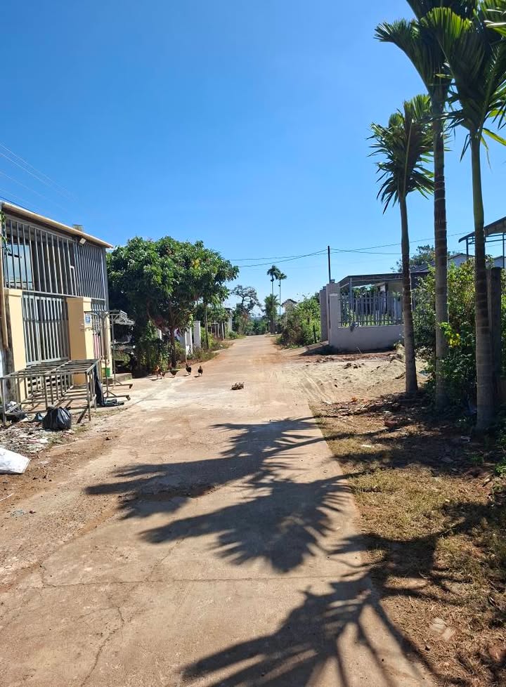 Đất nền 11A Hòa Thuận, Tân An 205m² giá 1.39 tỷ - Giao thông thuận lợi, khu dân cư đông đúc!