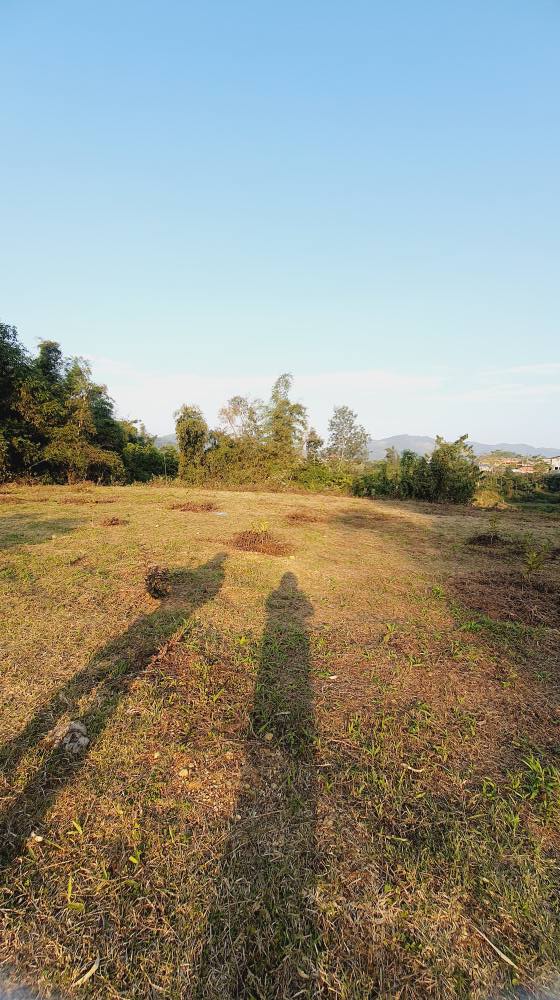 Đất Farm 1537m² Xã Vĩnh Quang - Giá chỉ 1 tỷ, vị trí đắc địa!