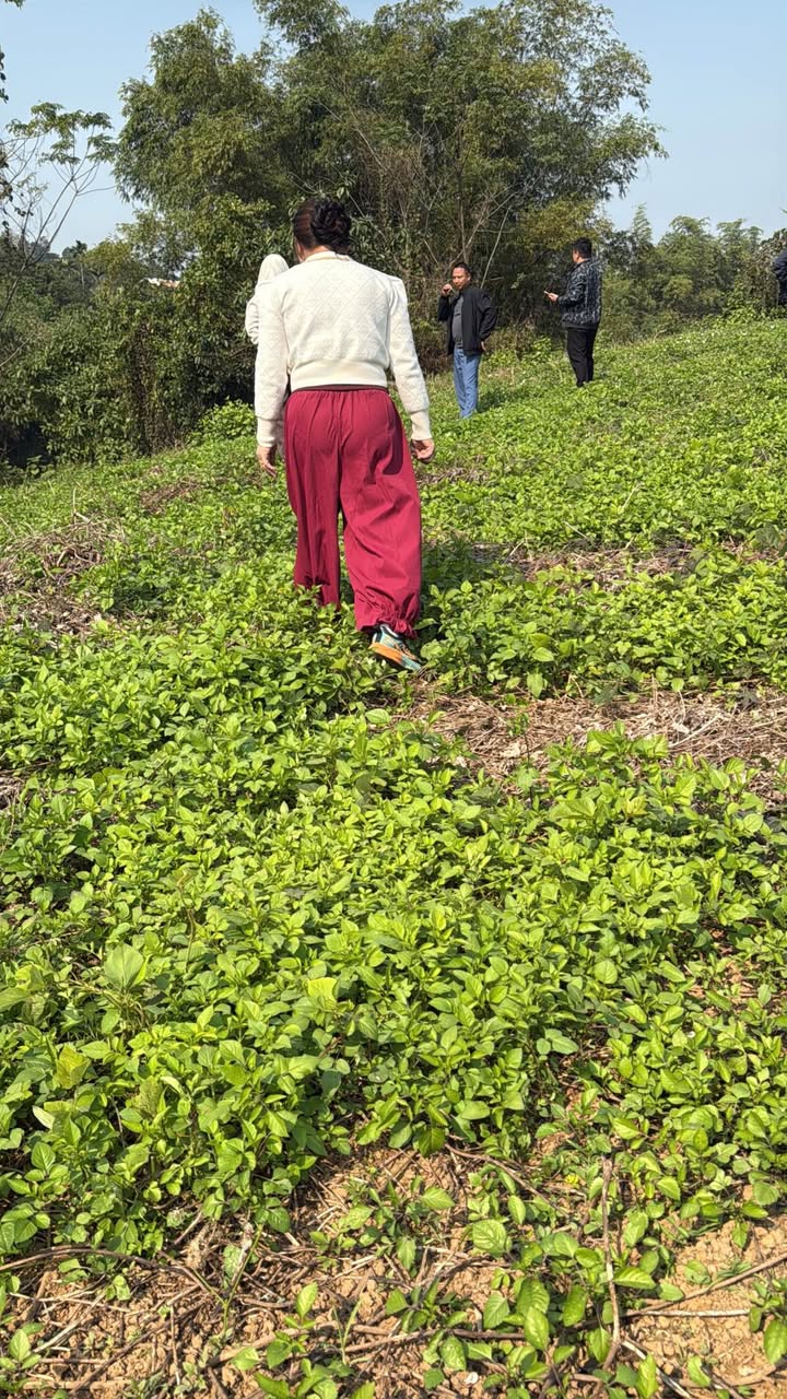 Đất Kim Bôi, Phú Thọ 2600m² - Sổ hồng chính chủ, giá chỉ 1 triệu!