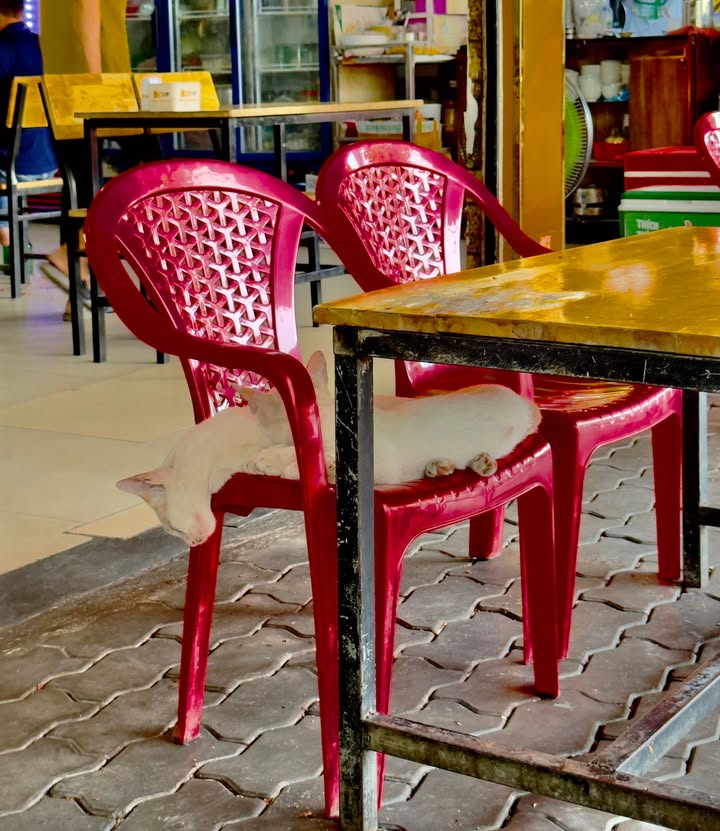 FrontHouse Đường số Tân Quy Quận 7 93m² giá 10.x tỷ - Đầu tư sinh lời lý tưởng!