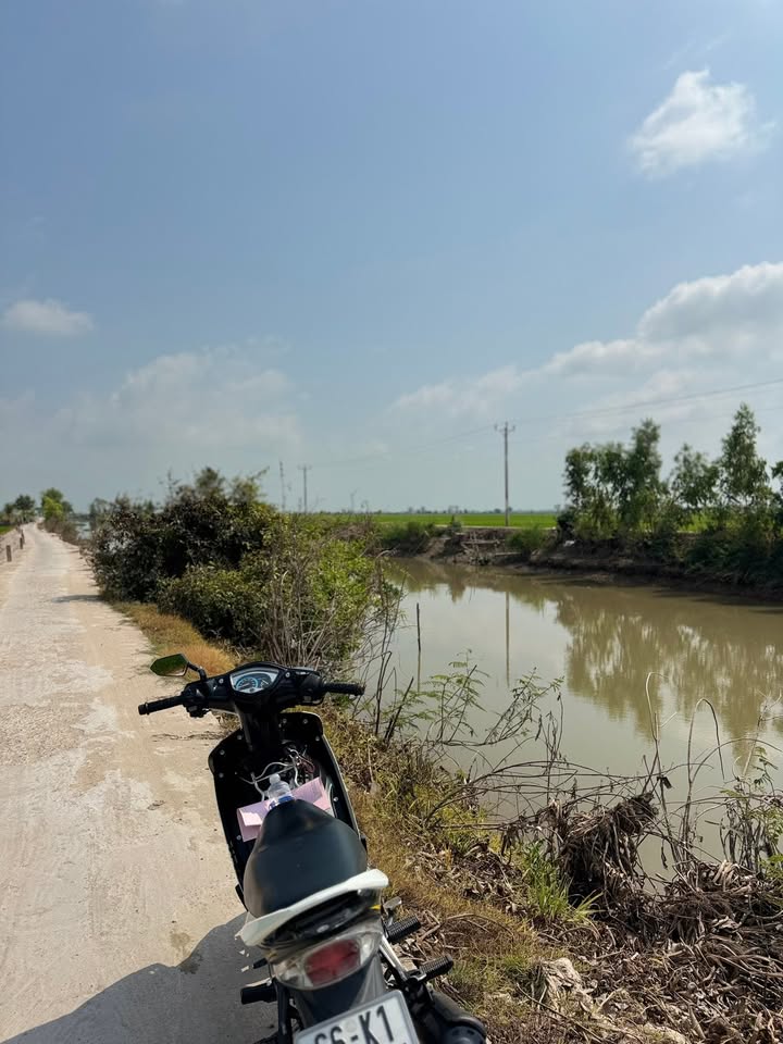 Đất ruộng 1296m² tại xã Bình Thạnh, TP Hồng Ngự giá 230 triệu - Cơ hội đầu tư tuyệt vời!