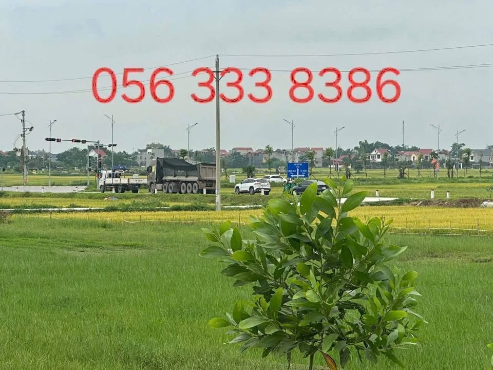 Đất nền đẹp tại khu đô thị phía Tây Nam, Hiệp Hòa, 145m² giá 1.5 tỷ - Cơ hội đầu tư tuyệt vời!