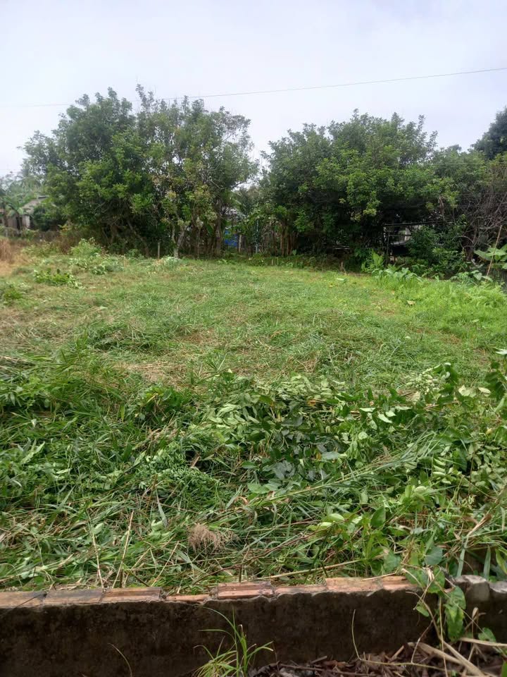 Đất thổ cư 125m² tại phường Cái Vồn, Vĩnh Long - Giá 590 triệu, hướng Đông Nam