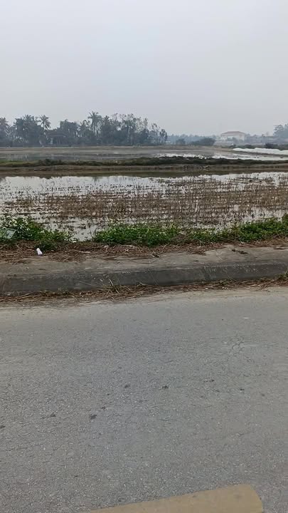 Đất nền 111 Quảng Phúc 150m² giá chỉ 5xx triệu - Cơ hội đầu tư hiếm có!