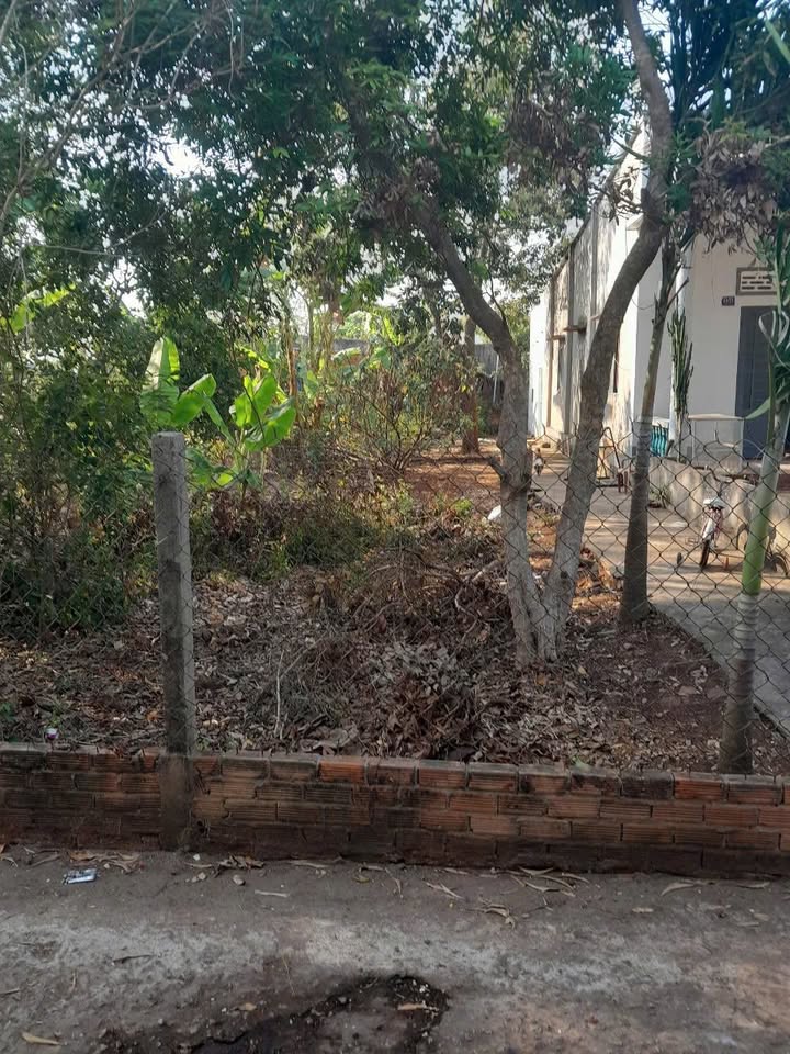 Đất nền Xã Hòa Bình, Xuyên Mộc 150m² giá 650 triệu - Sổ riêng chính chủ!