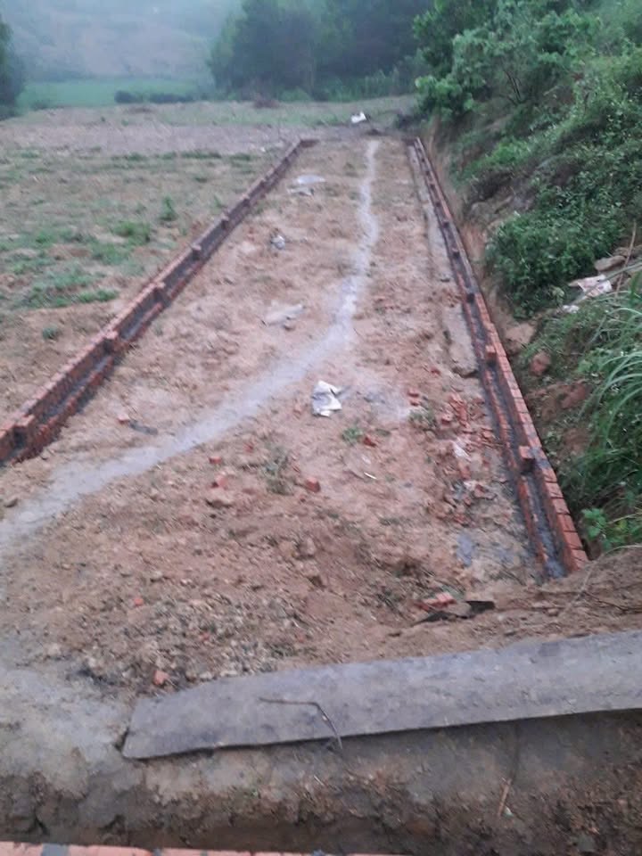 Đất nền Tạ Xá Cẩm Khê 152m² giá 300 triệu - Sổ hồng chính chủ sẵn sàng giao dịch!