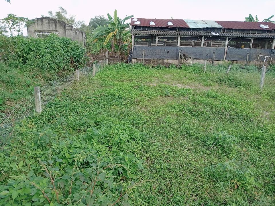 Đất nền mặt tiền Trà Kiểm 1, Hòa Xuân 120,3m² giá 2,55 tỷ - Đầu tư sinh lời ngay!