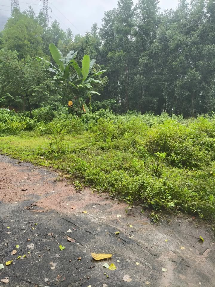 Bán đất thổ cư xã Hòa Sơn 375m² giá 3.56 tỷ - Đường ô tô 4m, sổ hồng chính chủ!