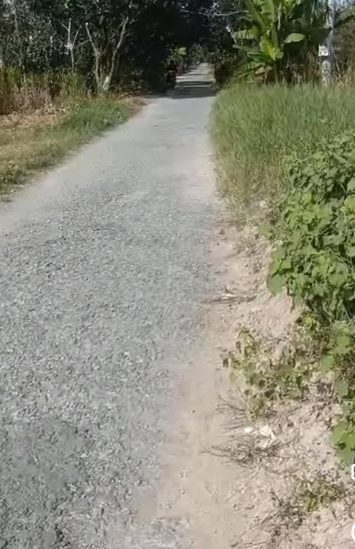 Đất ruộng mặt tiền 35m tại Thanh Mỹ, Tháp Mười - Cho thuê 6 triệu/công/năm