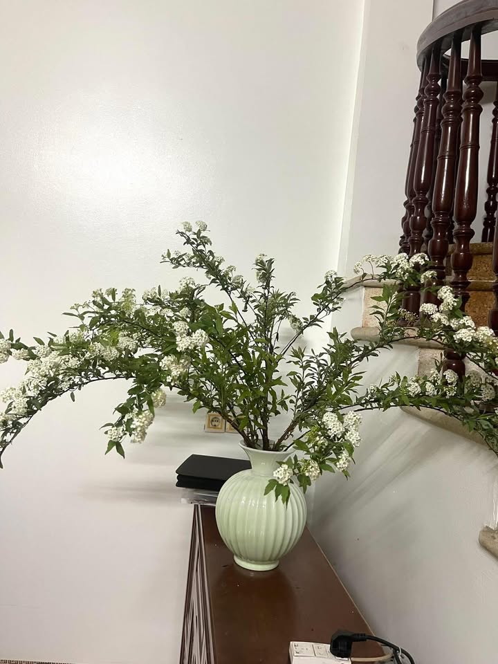 Đất nền Tân Phố Hiến Hưng Yên 100m² giá 5.x tỷ - Hướng Nam, gần vườn hoa!