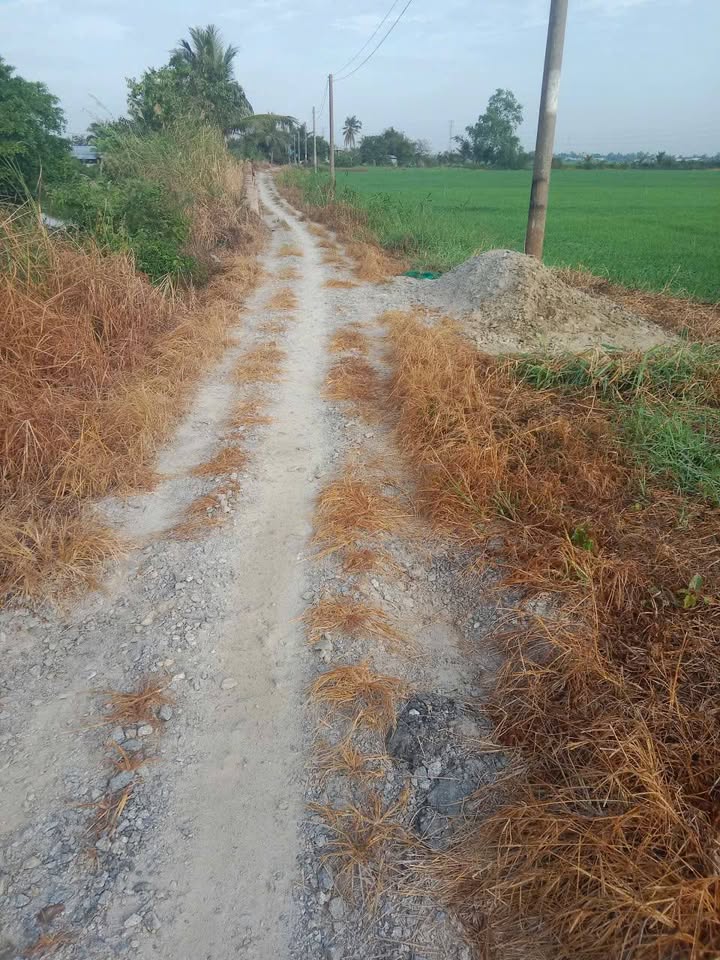 Đất nông nghiệp 11000m² tại Ấp Hòa Lợi, Xã Thạnh Lộc - Cách KCN chỉ 500m, Giá tốt 55 tỷ!