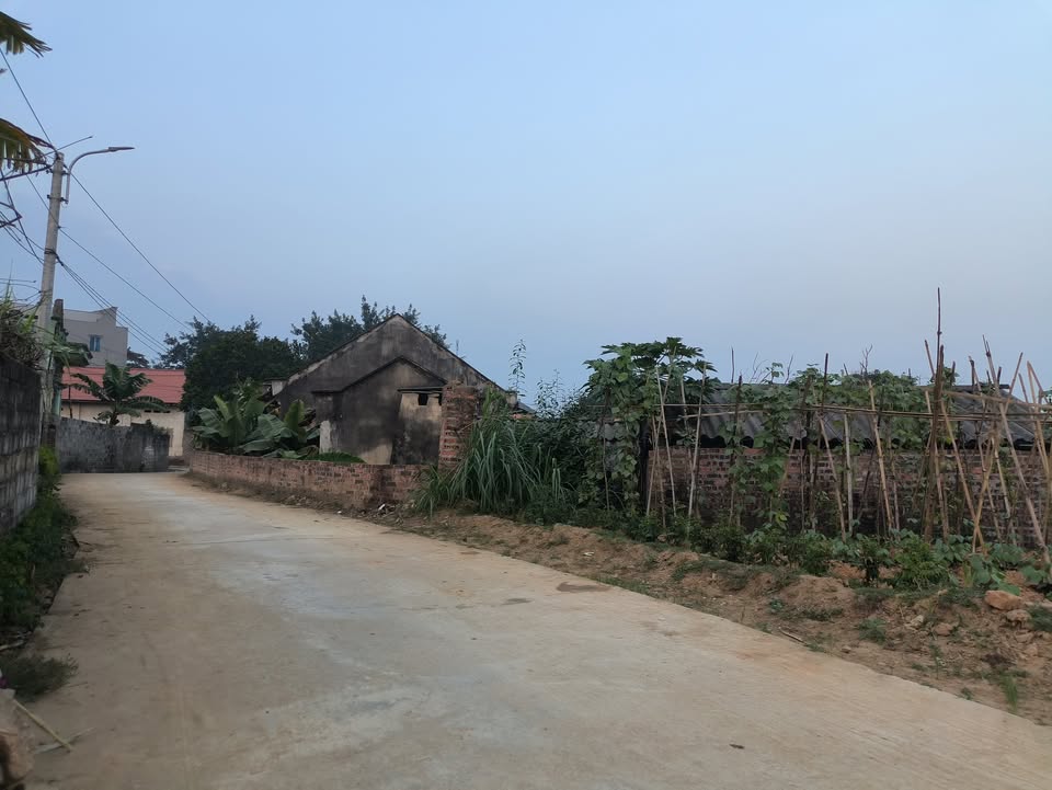 Đất nền Thị trấn Hoa Sơn 100m² giá 800 triệu - Đầu tư sinh lời ngay!