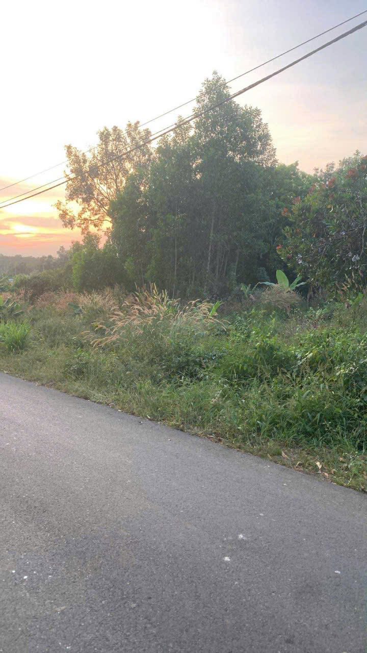 Đất Farm Suối Rao Xuân Sơn Hóc Môn 9700m² giá 5.4 tỷ - Sổ hồng chính chủ