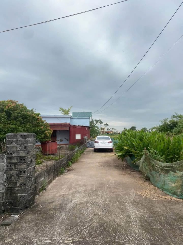 Đất nền xã Nam Hải, huyện Tiền Hải, Thái Bình 130m² giá 500 triệu - Đầu tư sinh lời hấp dẫn!