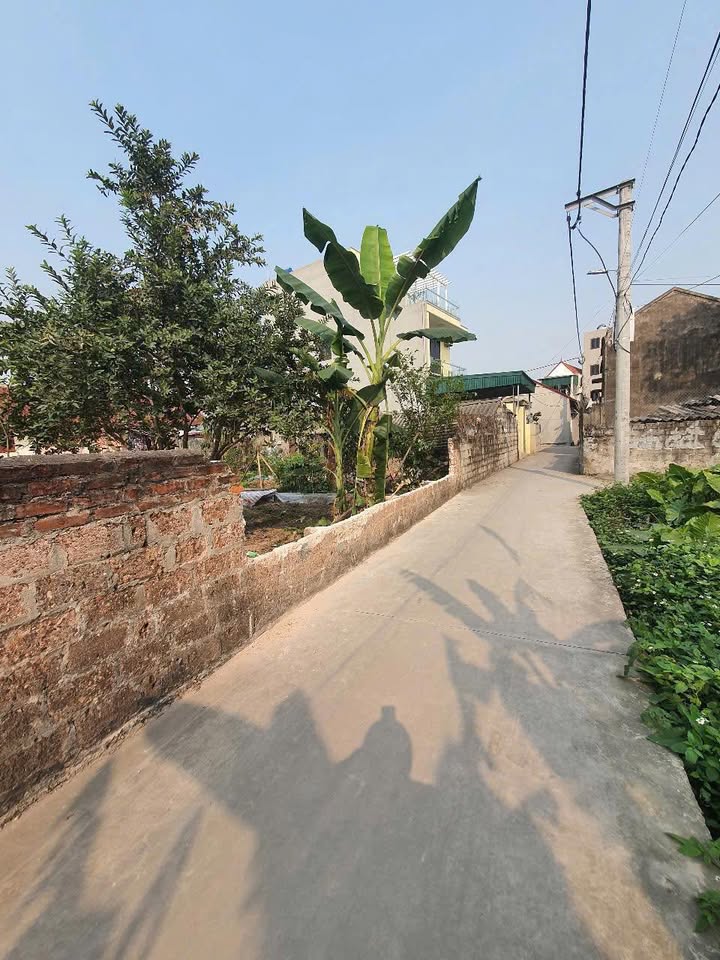 Đất nền Thắng Lợi Thường Tín 80m² - Ô tô đỗ cửa, thuận tiện kinh doanh!