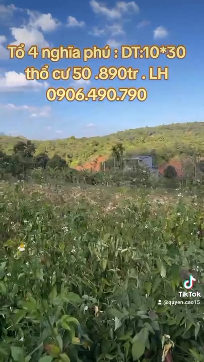 Đất nền Gia Nghĩa 300m² giá 890 triệu - Vị trí trung tâm, đầu tư sinh lời!