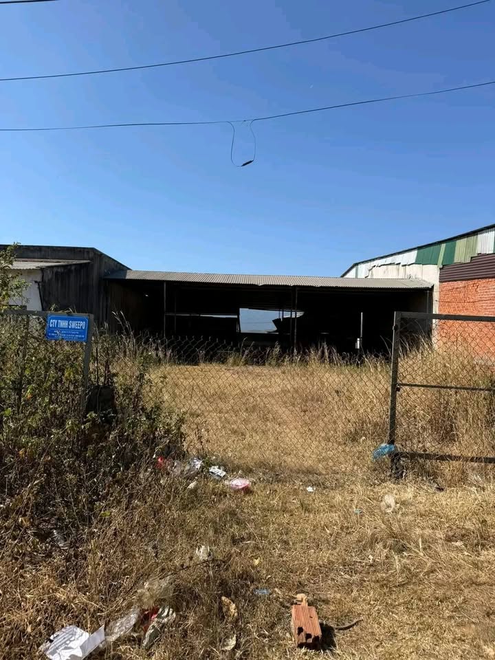 Đất nền 4500m² tại Quốc lộ 14, Ea H'leo chỉ 3.55 tỷ - Cơ hội vàng cho nhà đầu tư!