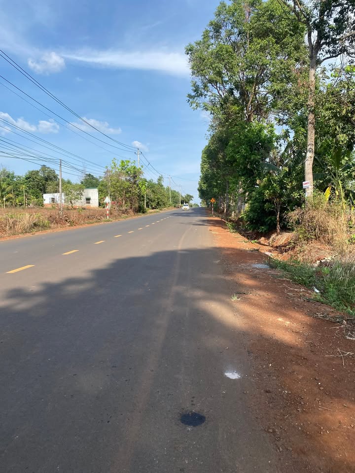 Đất 2 mặt tiền Phan Huy Chú, 700m², giá 2.5 tỷ - Cơ hội đầu tư tuyệt vời!