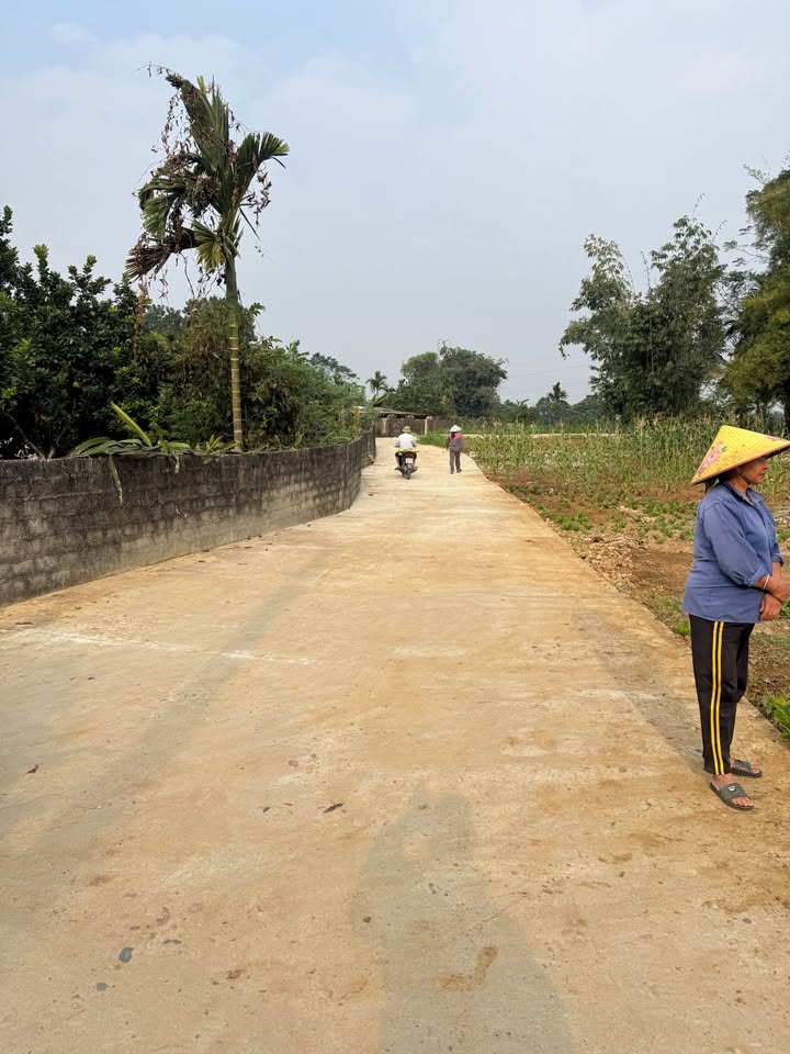 Đất thổ cư 100m² tại An Khang, Tuyên Quang - Đầu tư sinh lời tuyệt vời!