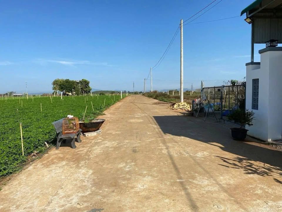 Đất nền Tổ 32, Đức Trọng - Lâm Đồng 103m² giá chỉ 970 triệu - Đầu tư sinh lời ngay!